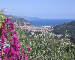 Foto AGRITURISMO SOGNANDO VILLA EDERA di RAPALLO