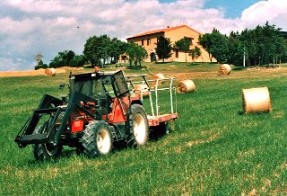 Picture of AGRITURISMO LA CONTEA of SANTA LUCE