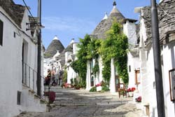 ALBEROBELLO B&B - Foto 8