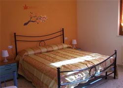 Picture of B&B IL VIALE of ALBA ADRIATICA