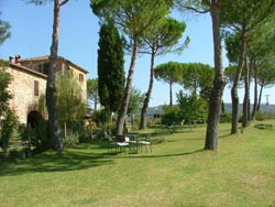 AGRITURISMO IL MOLINELLO - Foto 10