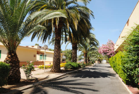 Picture of HOTEL RESIDENCE HOTEL VILLAGGIO SUMMER DAY of SANTA MARIA DEL CEDRO