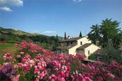 Foto AGRITURISMO  MARFUGA di CAMPELLO SUL CLITUNNO