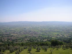 Foto APPARTAMENTI B&B LA PINETA di ASSISI