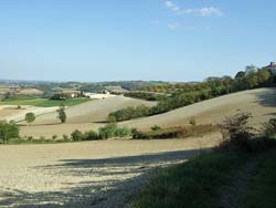 Picture of HOTEL  RISTORANTE MANA MANA of SERRALUNGA DI CREA