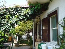 Picture of B&B BRICIOLO DI PARADISO of ARDEA