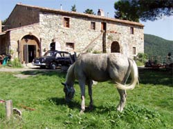 Foto B&B RIFUGIO DELLE POIANE di RIPARBELLA