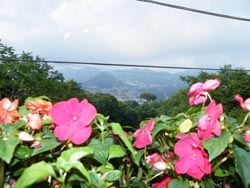 Foto B&B VILLA SIMITODE di CAVA DE' TIRRENI