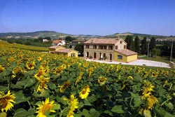 Photo AGRITURISMO  LA VECCHIA FONTE a CASTELBELLINO