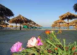 HOTEL PETIT ROYAL - Foto 1