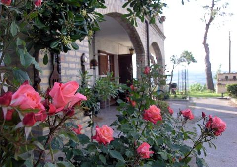 Picture of B&B TORRETTA BONAPARTE of POTENZA PICENA