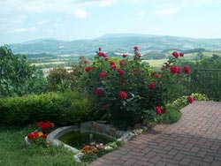 Foto CASA VACANZE L'INCANTO SULLA VALLE di CAGLI