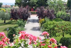 BED & BREAKFAST LAURA - Foto 5