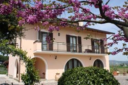 Foto B&B BED & BREAKFAST LAURA di BASTIA UMBRA