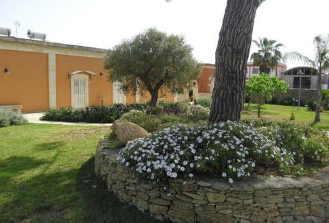 Picture of AGRITURISMO TENUTA MASSERIA DEL GALLO of CALIMERA