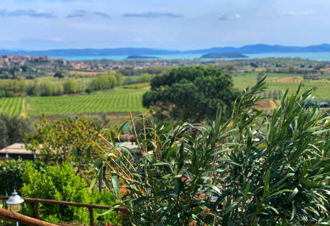 Foto AGRITURISMO  ANNIBALE di TUORO SUL TRASIMENO