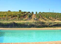 Foto CASA VACANZE LA FORNACE di SAN VENANZO