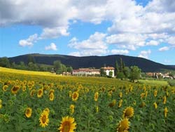 Appartamenti Cà Del Bocca - foto 10 (Cà Del Bocca Hill)