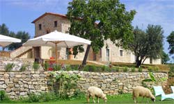 Foto AGRITURISMO PODERE LE OLLE di MONTEGABBIONE