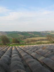 Fotos AGRITURISMO L'ISOLA CHE NON C'È von MONTE SAN PIETRANGELI