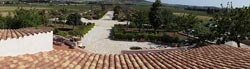 Fotos B&B VILLA DELLE PALME DELFINA von TRAPANI