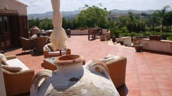 Picture of B&B VILLA DELLE PALME DELFINA of TRAPANI