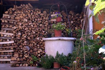 Foto B&B IL CACTUS  di ARCE