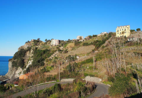 Photo B&B AFFITTACAMERE LA TORRE a CORNIGLIA