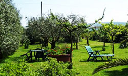 Picture of B&B BOSCHETTO of PORTO SANT'ELPIDIO