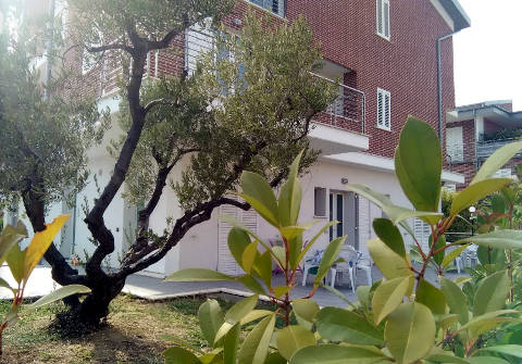 Picture of B&B BED AND BREAKFAST PAOETTA of PORTO SANT'ELPIDIO