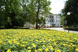 Picture of HOTEL GRAND  TERME of RIOLO TERME