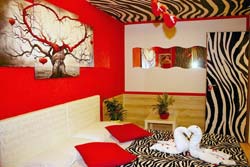 Foto B&B I LOVE TERMINI  di ROMA