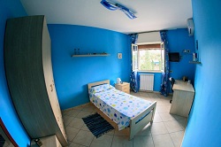 L'archeogatto - foto 1 (Blue Room)