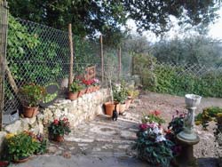 Picture of B&B IL GIARDINO 10 of MONTERIGGIONI