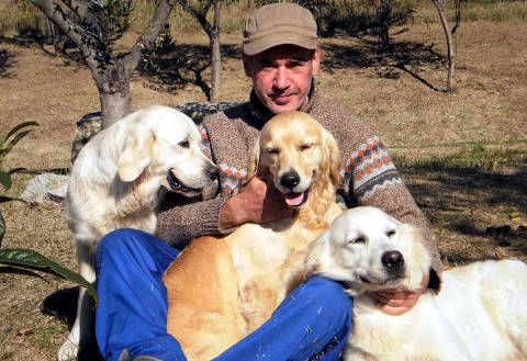 Il Cantinoccio B&b - foto 12 (Alessandro Con I Golden Retriever)