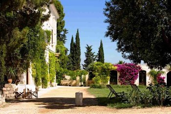 Picture of B&B CEFALICCHIO  of CANOSA DI PUGLIA