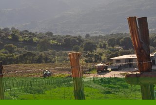 Picture of AGRITURISMO LA FINESTRA SUL MARE of CARONIA