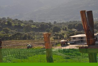 Foto AGRITURISMO LA FINESTRA SUL MARE di CARONIA