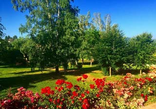 Foto AFFITTACAMERE RELAIS IL SIGILLO di ROSIGNANO MARITTIMO