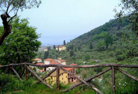 Foto CASA VACANZE APPARTAMENTI PER VACANZE FRANTOIO DI CARMEN di MASSAROSA