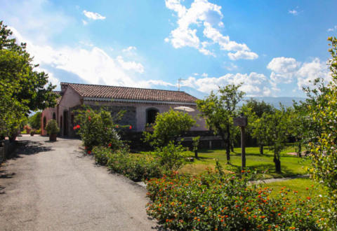 Picture of AGRITURISMO  GALEA of RIPOSTO